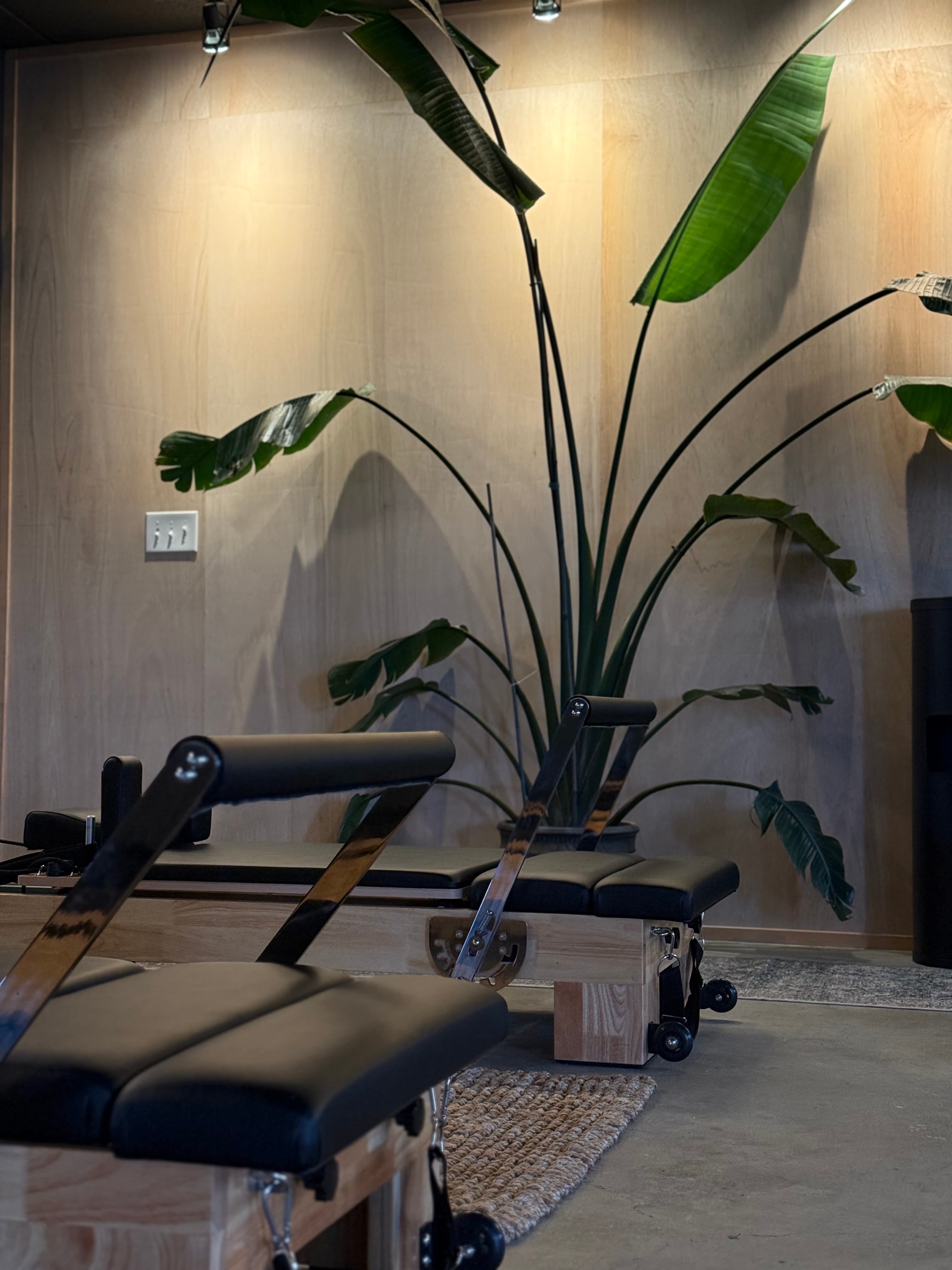 Premium Balanced Body Reformers at Reflection Pilates